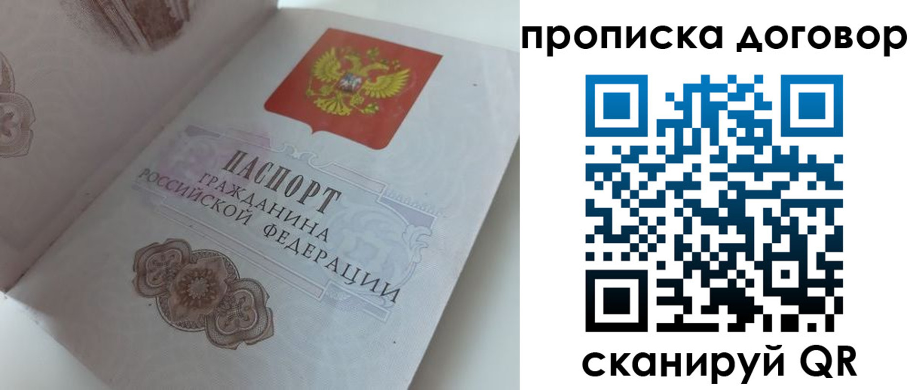 прописка поиск в Ершове